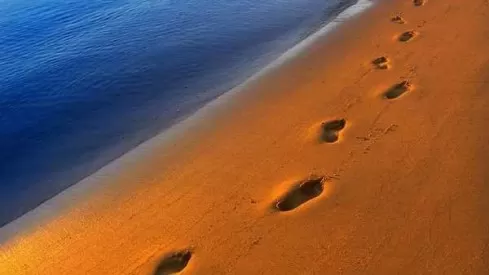 مدار الساعة,أخبار ثقافية