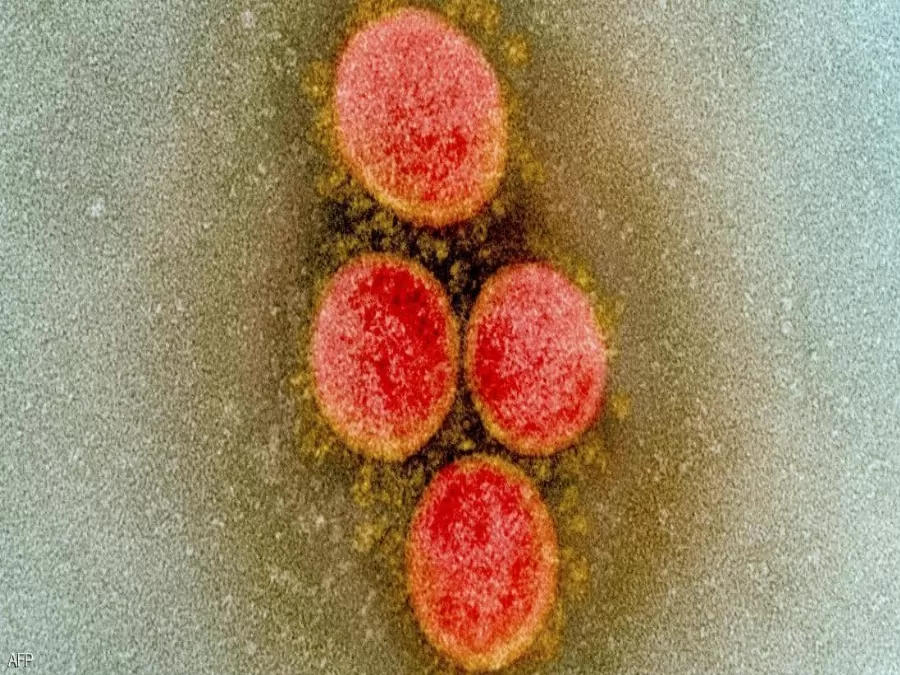 مدار الساعة,أخبار عربية ودولية,كورونا,كوفيد 19,منظمة الصحة العالمية