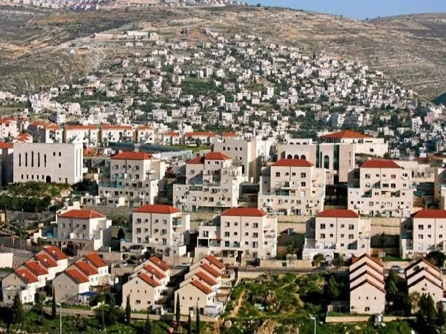مدار الساعة,أخبار الأردن,اخبار الاردن,وزارة الخارجية وشؤون المغتربين,وزارة الخارجية
