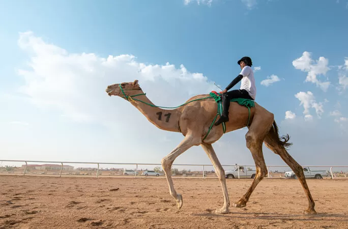 مدار الساعة,أخبار الأردن,اخبار الاردن