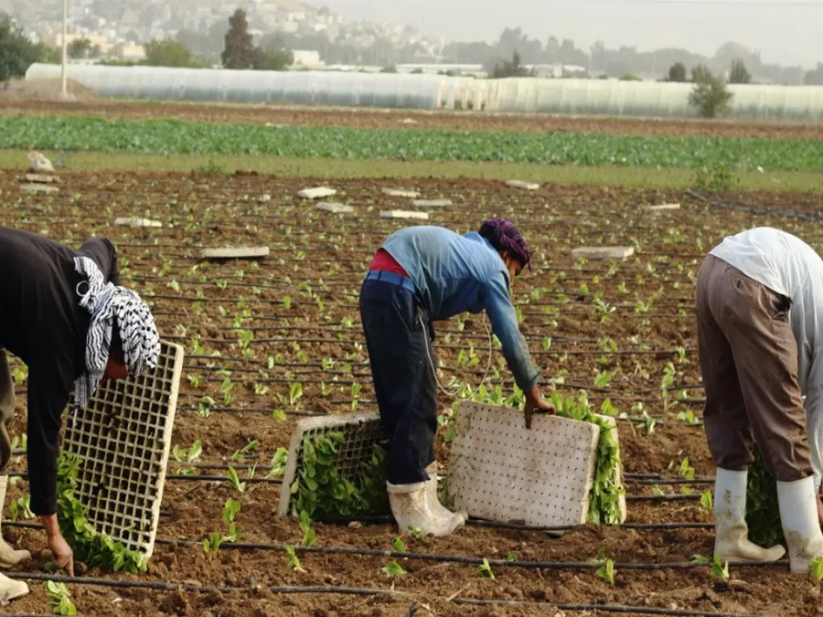 مدار الساعة,أخبار الأردن,اخبار الاردن,وزير العمل
