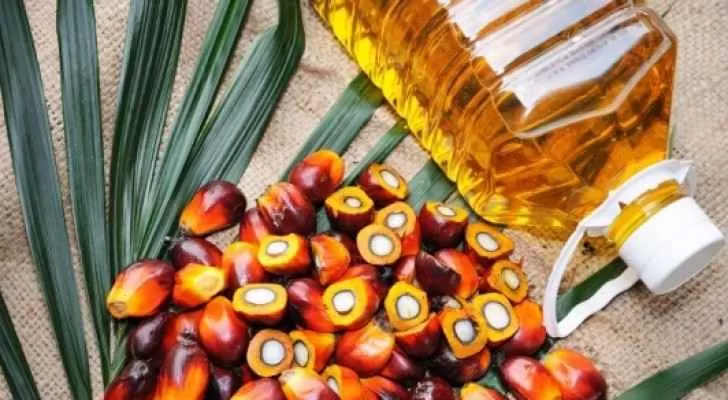 مدار الساعة,أخبار اقتصادية,وزير الصناعة والتجارة والتموين,يعرب القضاة,رئيس الوزراء,وزارة المالية,وزارة الصناعة