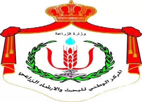 مدار الساعة,أسرار أردنية