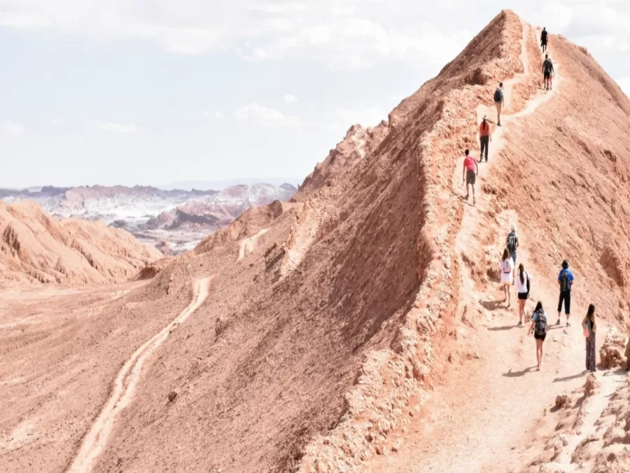 مدار الساعة,أخبار ثقافية