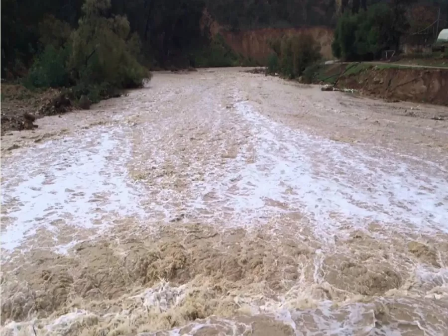 مدار الساعة,أخبار اقتصادية,نائب رئيس الوزراء,وزير الإدارة المحلية,رئيس الوزراء,وزارة الإدارة المحلية,وزارة الداخلية,وزارة الأشغال,الأمن العام