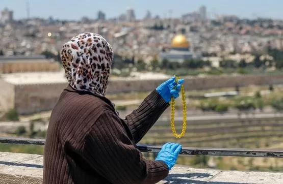 مدار الساعة,أخبار الأردن,اخبار الاردن,الملك عبدالله الثاني بن الحسين,وزارة الخارجية