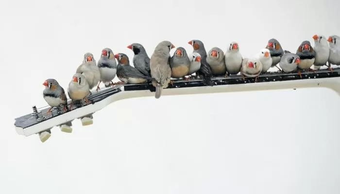 مدار الساعة,أخبار خفيفة ومنوعة