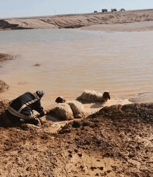 مدار الساعة,أخبار الأردن,اخبار الاردن,الدفاع المدني
