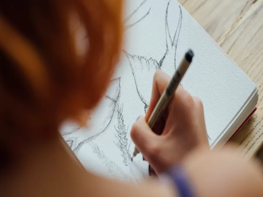 مدار الساعة,أخبار الجامعات الأردنية