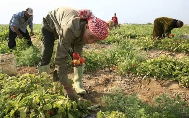 مدار الساعة,أخبار الأردن,اخبار الاردن,وزير الزراعة,كورونا,مؤسسة الإقراض الزراعي,الإقراض الزراعي
