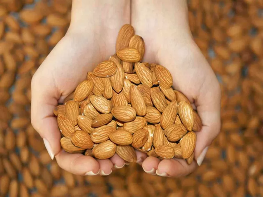 مدار الساعة,أخبار الأسرة