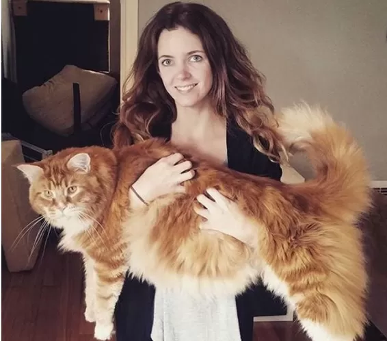 مدار الساعة,Video,فيديو,أخبار خفيفة ومنوعة