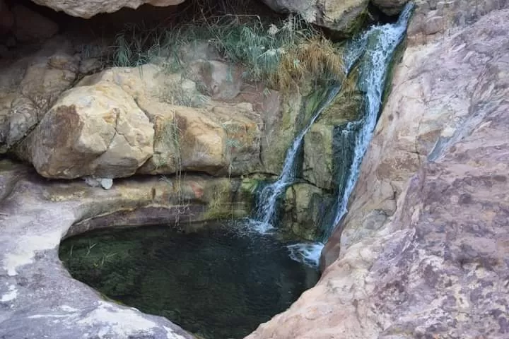 مدار الساعة,أخبار خفيفة ومنوعة,البحر الميت