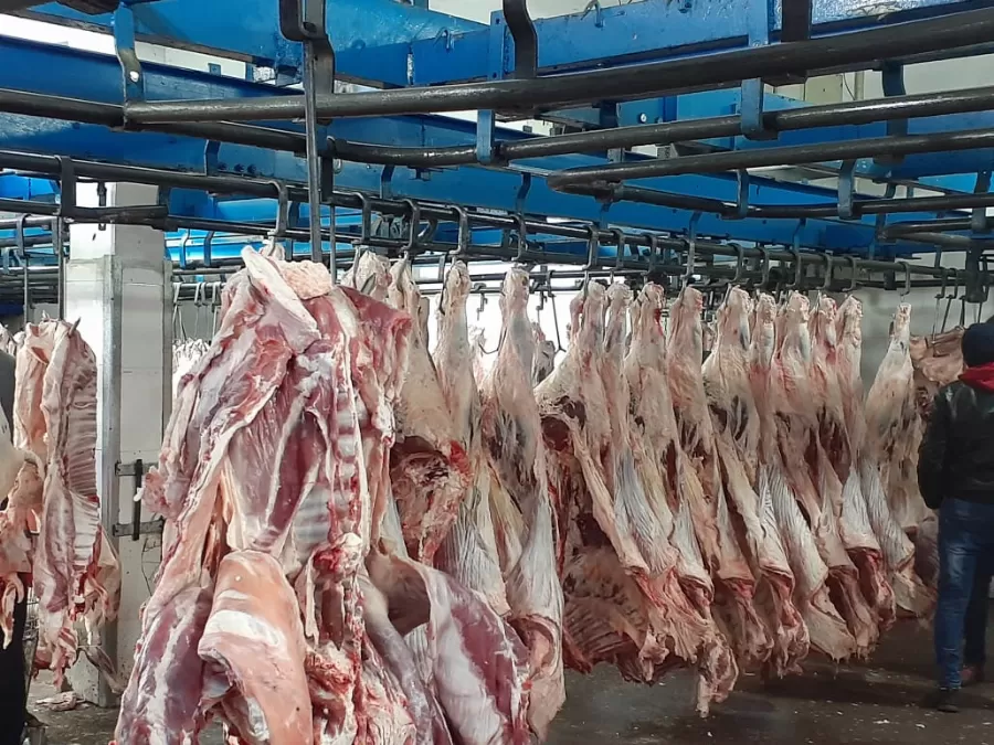 مدار الساعة,أخبار اقتصادية,أمانة عمان الكبرى