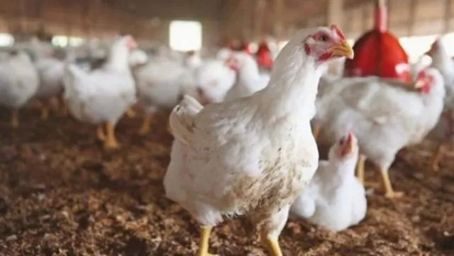 مدار الساعة,أخبار اقتصادية