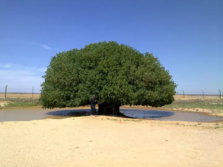 مدار الساعة,أخبار الأردن,اخبار الاردن,وزارة الأوقاف والشؤون والمقدسات الإسلامية,وزارة الأوقاف