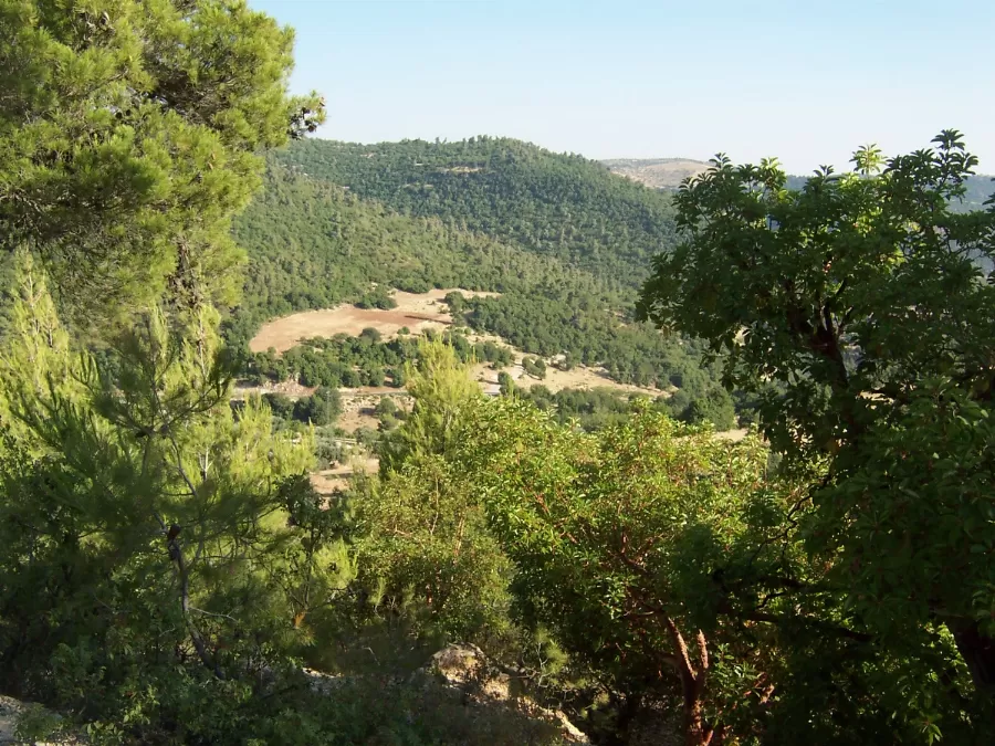 مدار الساعة,أخبار الأردن,اخبار الاردن,وزير البيئة,كورونا,وزارة البيئة