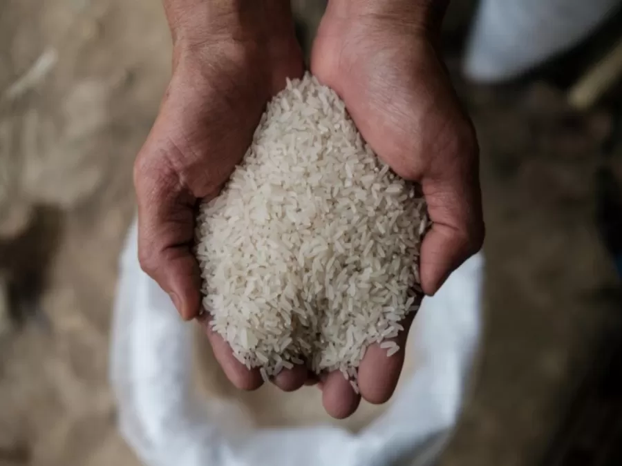 مدار الساعة,أخبار الأردن,اخبار الاردن,سلطنة عمان