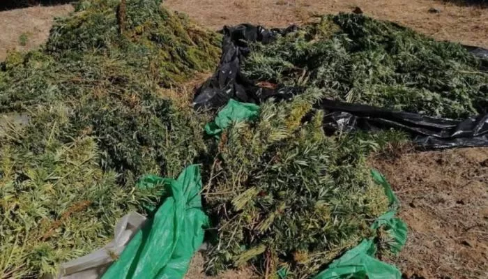 مدار الساعة,أخبار عربية ودولية