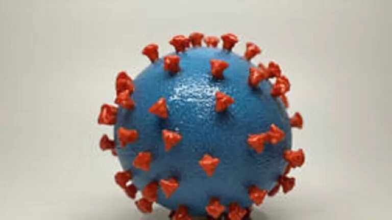 مدار الساعة,أخبار عربية ودولية,كورونا,كوفيد 19,منظمة الصحة العالمية