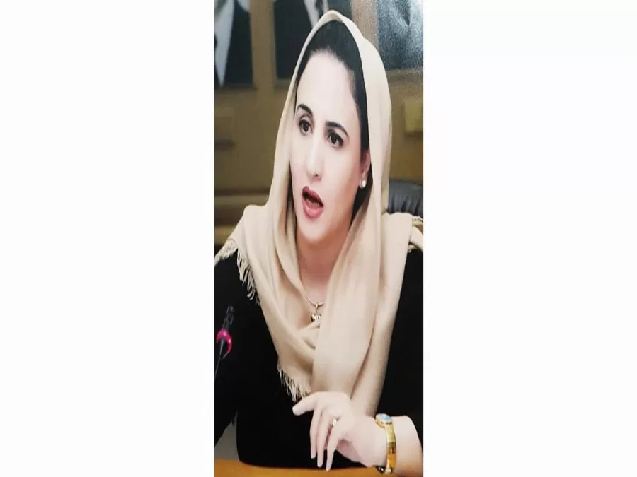 مدار الساعة,مقالات مختارة,صندوق الزكاة,وزارة التنمية الاجتماعية,التنمية الاجتماعية