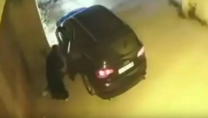 مدار الساعة,أخبار الجامعات الأردنية,كورونا,النيابة العامة,مواقع التواصل الاجتماعي