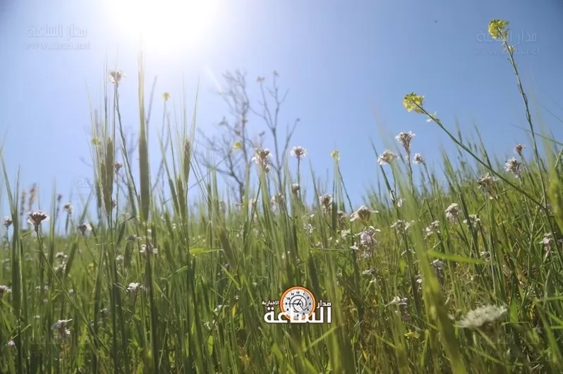 مدار الساعة,أخبار الأردن,اخبار الاردن,درجات الحرارة