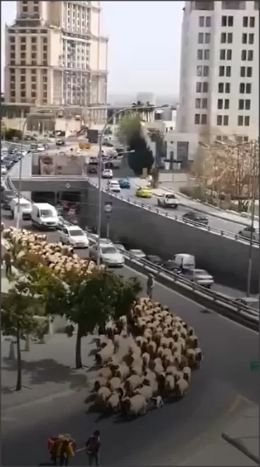 مدار الساعة,Video,فيديو,أخبار الأردن,اخبار الاردن
