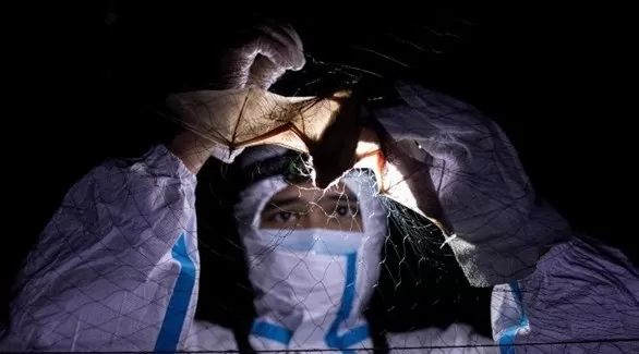 مدار الساعة,أخبار الجامعات الأردنية,كورونا