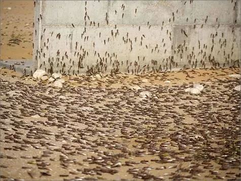 مدار الساعة,أخبار عربية ودولية