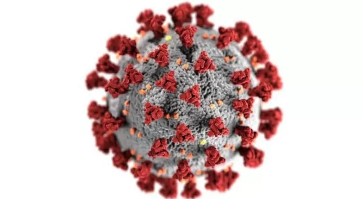 مدار الساعة,أخبار عربية ودولية,كورونا,منظمة الصحة العالمية