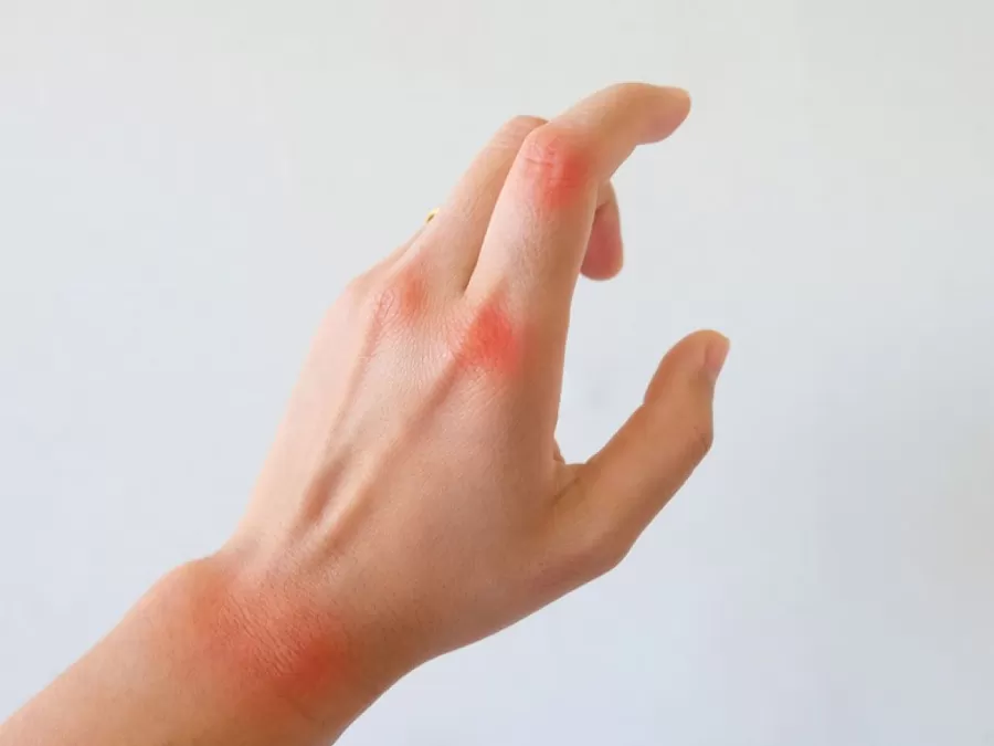 مدار الساعة,أخبار الأسرة