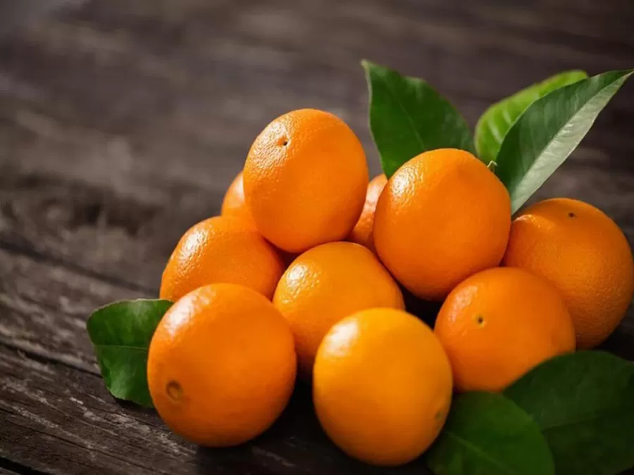 مدار الساعة,أخبار الأردن,اخبار الاردن,وزير الزراعة,وزارة الزراعة