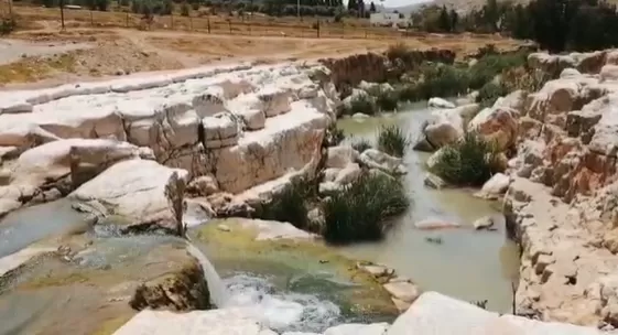 مدار الساعة,Video,فيديو,أخبار خفيفة ومنوعة