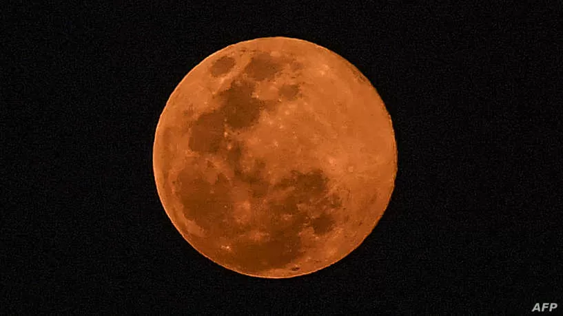مدار الساعة,أخبار خفيفة ومنوعة