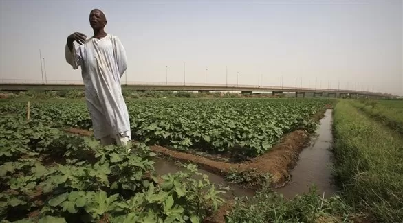 مدار الساعة,أخبار اقتصادية,البنك المركزي