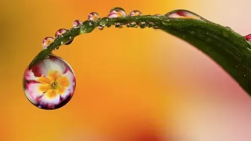 مدار الساعة,أخبار ثقافية