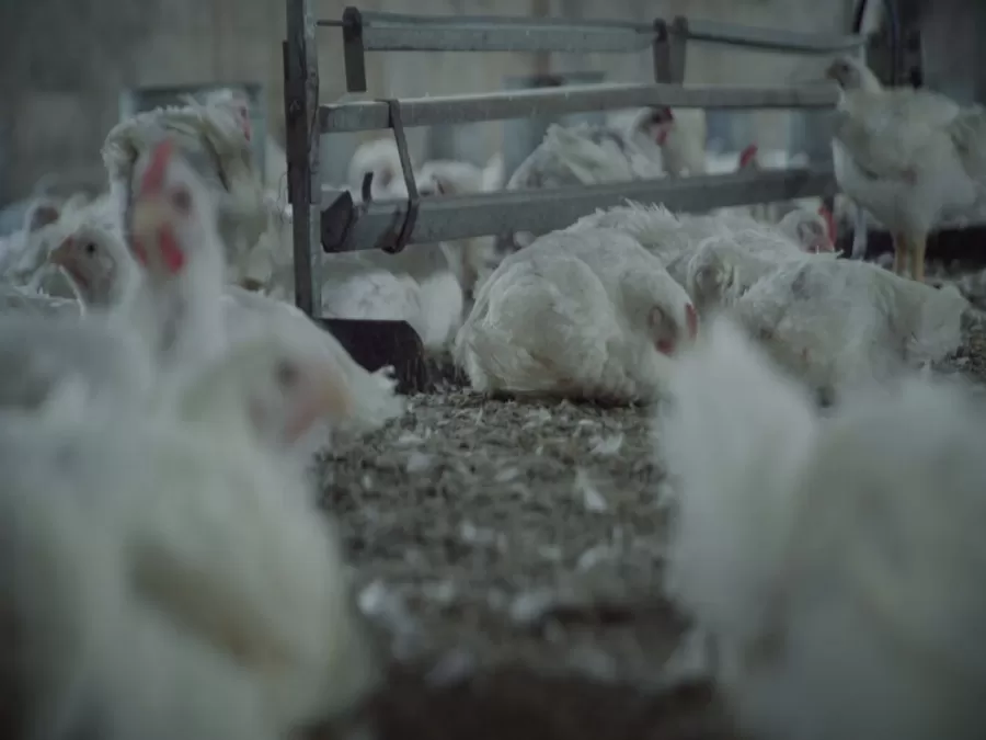 مدار الساعة,أخبار اقتصادية,وزير الزراعة,وزارة الصناعة والتجارة,وزارة الصناعة