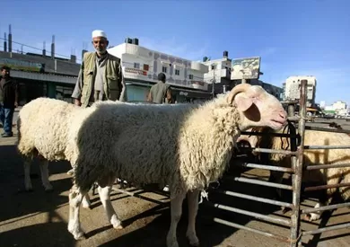 مدار الساعة,أخبار الأردن,اخبار الاردن,وزير الزراعة,وزارة الزراعة