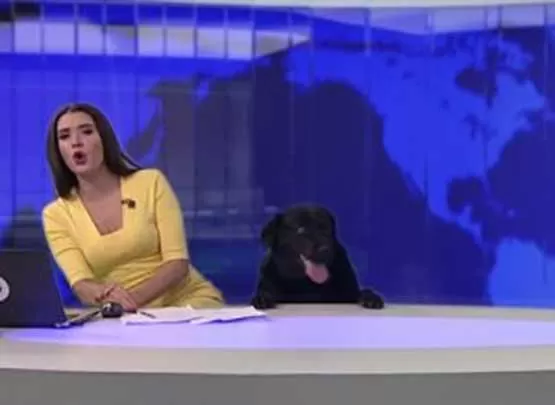 مدار الساعة,Video,فيديو,أخبار خفيفة ومنوعة