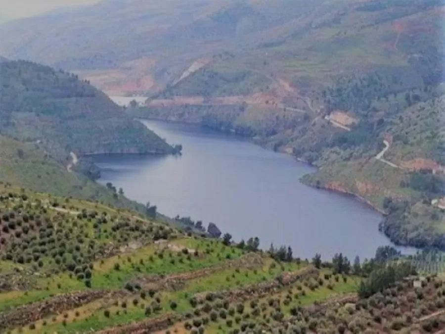 مدار الساعة,أخبار الأردن,اخبار الاردن,وزارة المياه والري,وزارة المياه