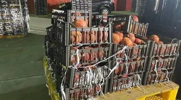 مدار الساعة,أخبار عربية ودولية,وزارة الداخلية