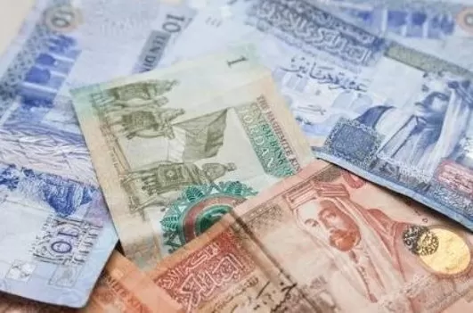 مدار الساعة,أخبار الأردن,اخبار الاردن,كورونا,الضمان الاجتماعي,وزارة التربية والتعليم