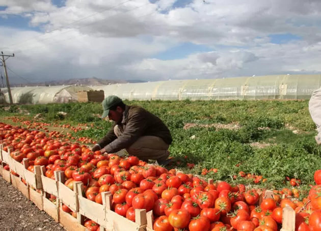مدار الساعة,أخبار اقتصادية