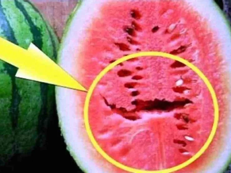 مدار الساعة,أخبار خفيفة ومنوعة