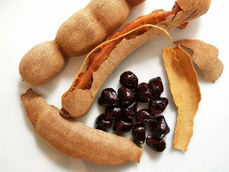 مدار الساعة,أخبار الأسرة