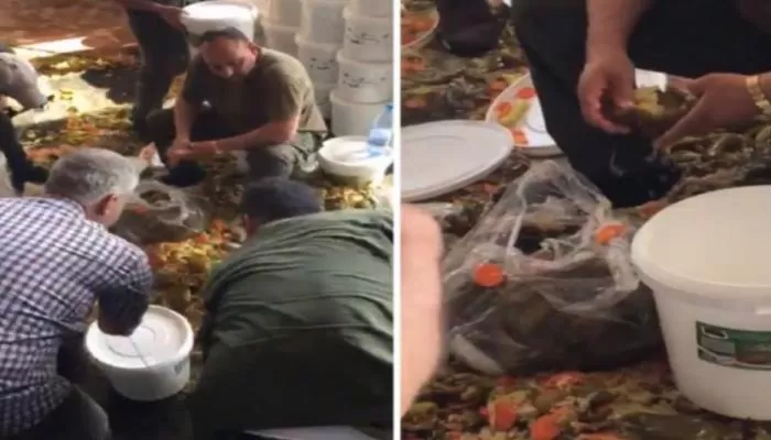 مدار الساعة,أخبار خفيفة ومنوعة