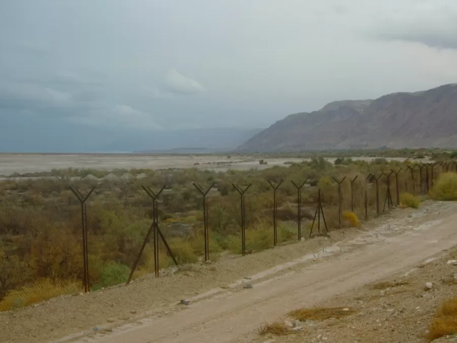 مدار الساعة,أخبار الأردن,اخبار الاردن,وزارة الخارجية وشؤون المغتربين,وزارة الخارجية