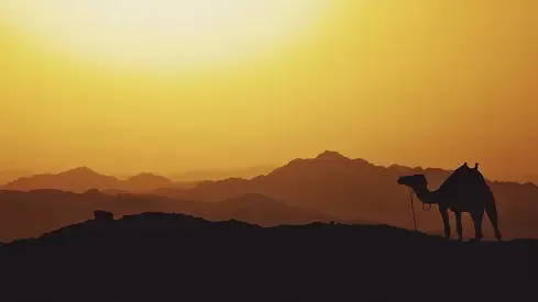 مدار الساعة,شؤون دينية