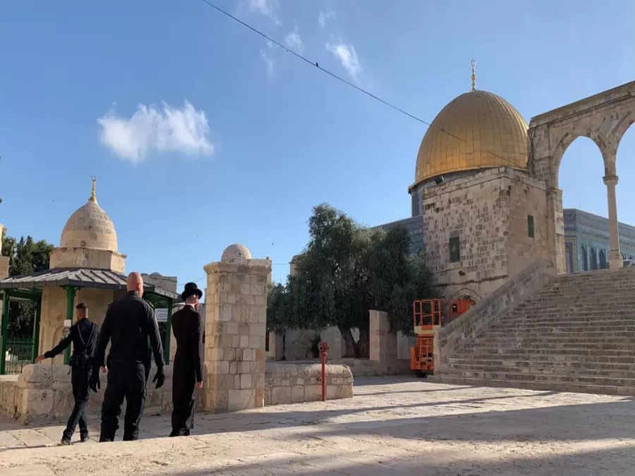 مدار الساعة,أخبار عربية ودولية,المسجد الأقصى